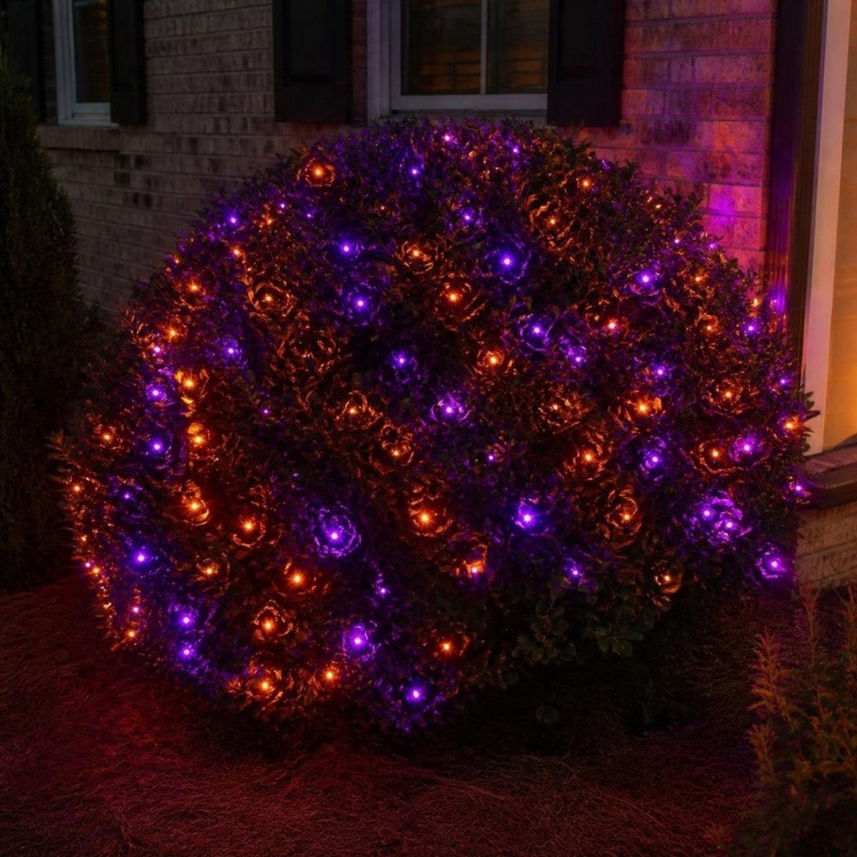 Net of glowing purple and orange lights draped over a bush