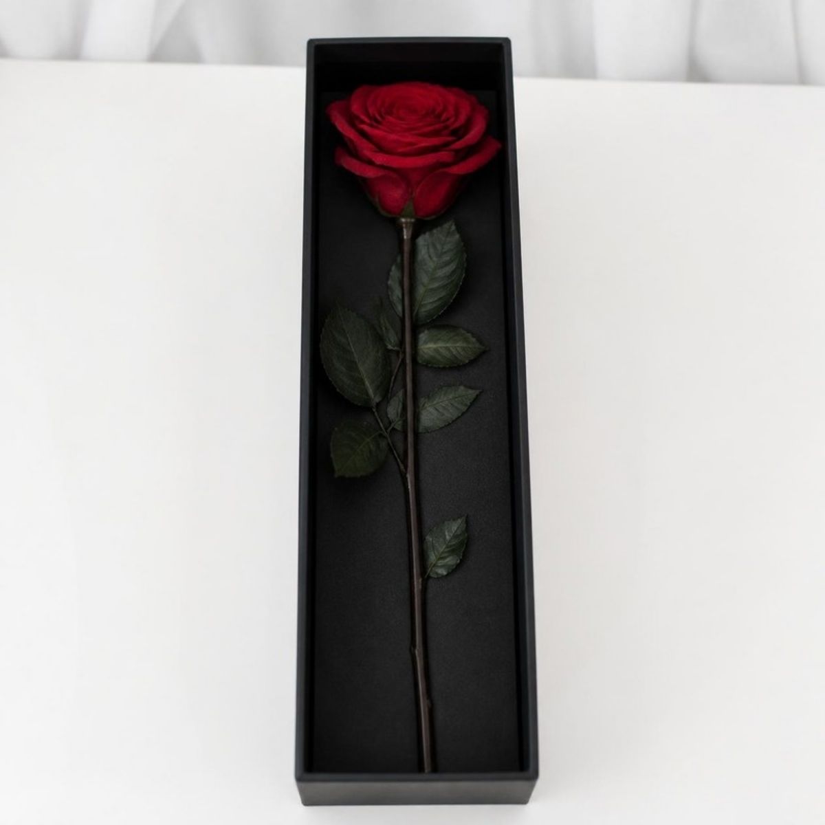 Single red preserved rose in a long black gift box