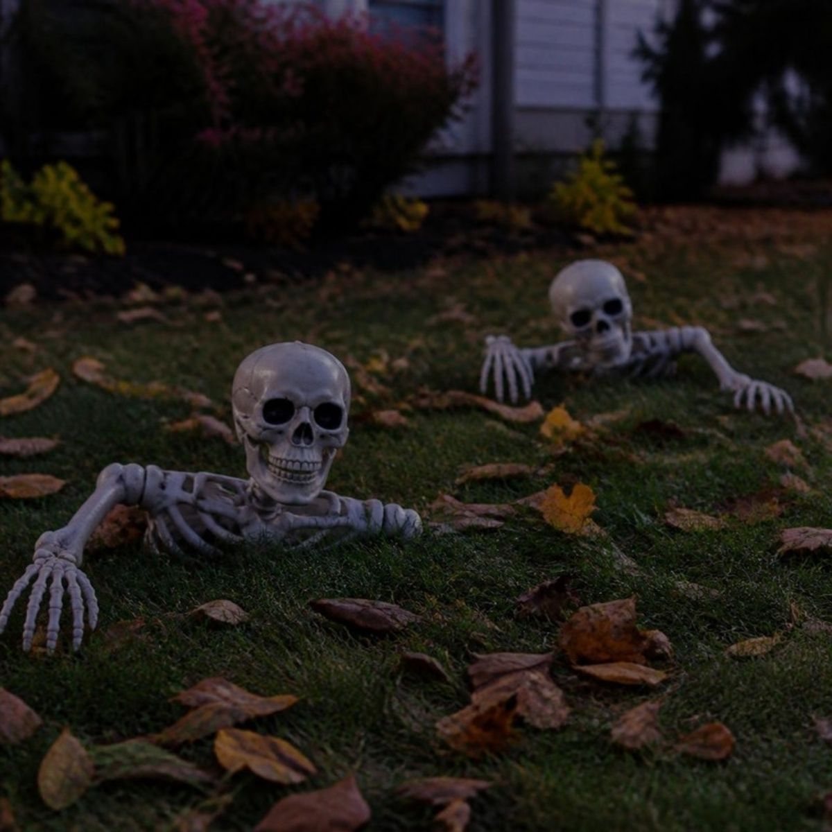 Skeletons rising out of a lawn covered in fall leaves
